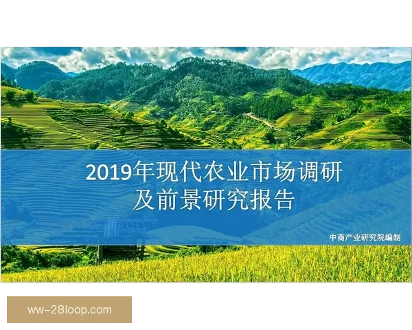 基于加维欧协联赛季走势变化与竞争格局前景判断分析的综合研究报告 基于加维欧协联赛季走势变化与竞争格局前景判断分析的综合研究报告